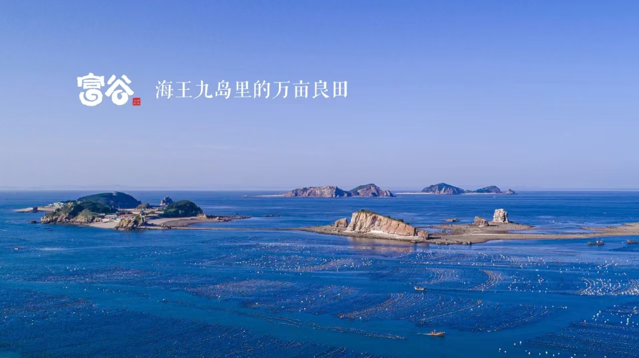 微信图片_20241125142921.jpg