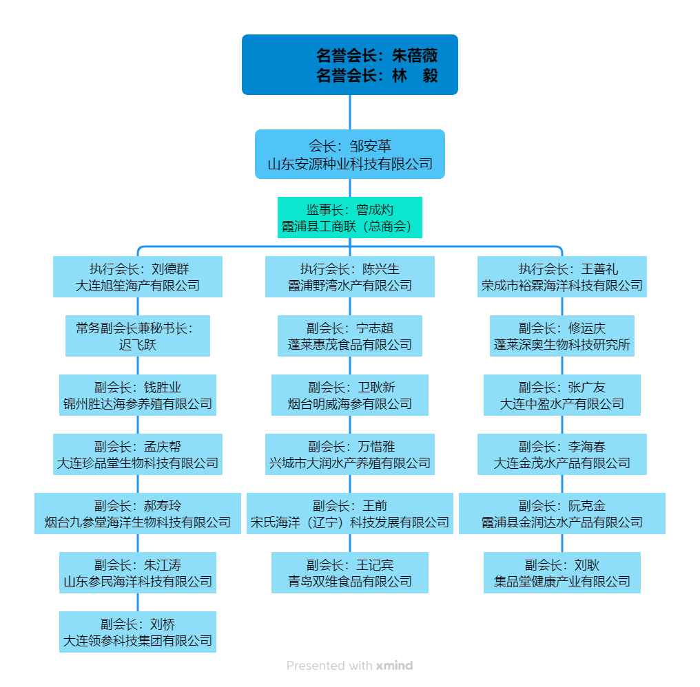 名誉会长：朱蓓薇              名誉会长：林    毅.png