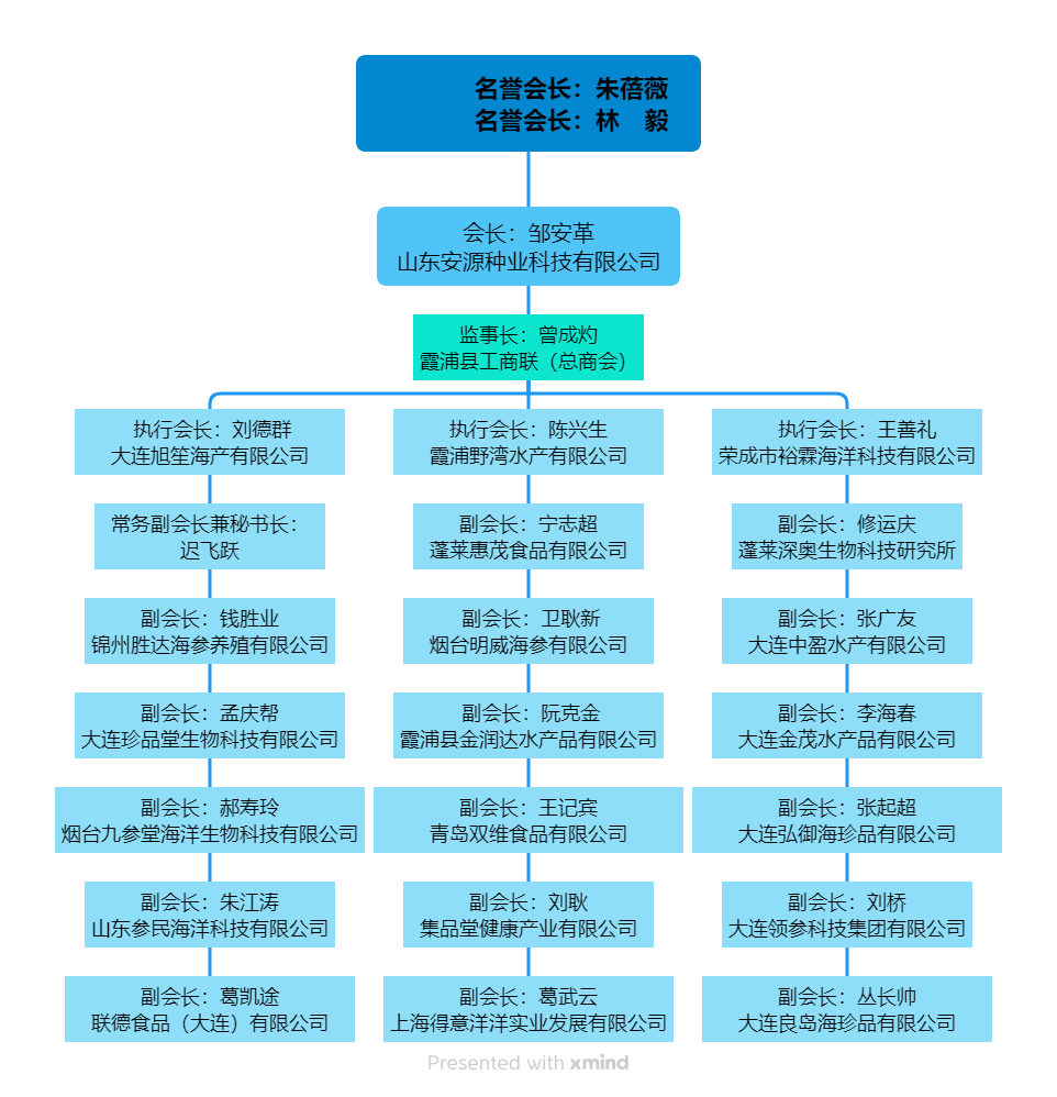 名誉会长:朱蓓薇 名誉会长:林 毅.png 名誉会长:朱蓓薇 名誉会长:林 毅.png